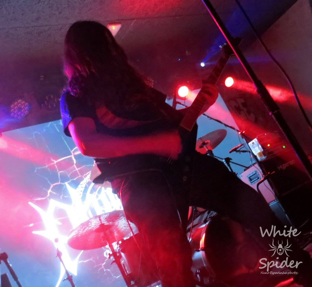 Phidion live 2019