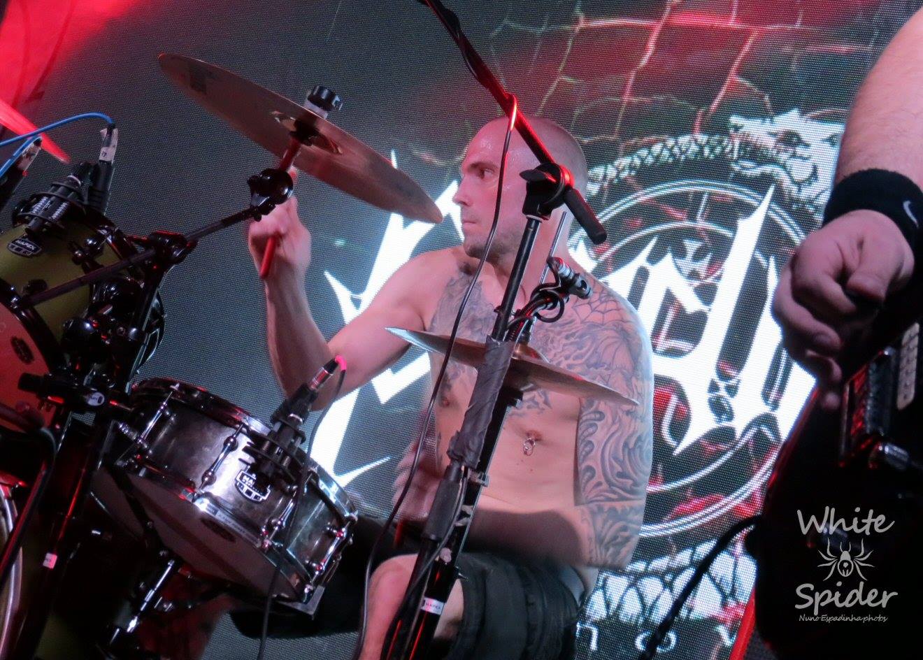 Phidion live 2019