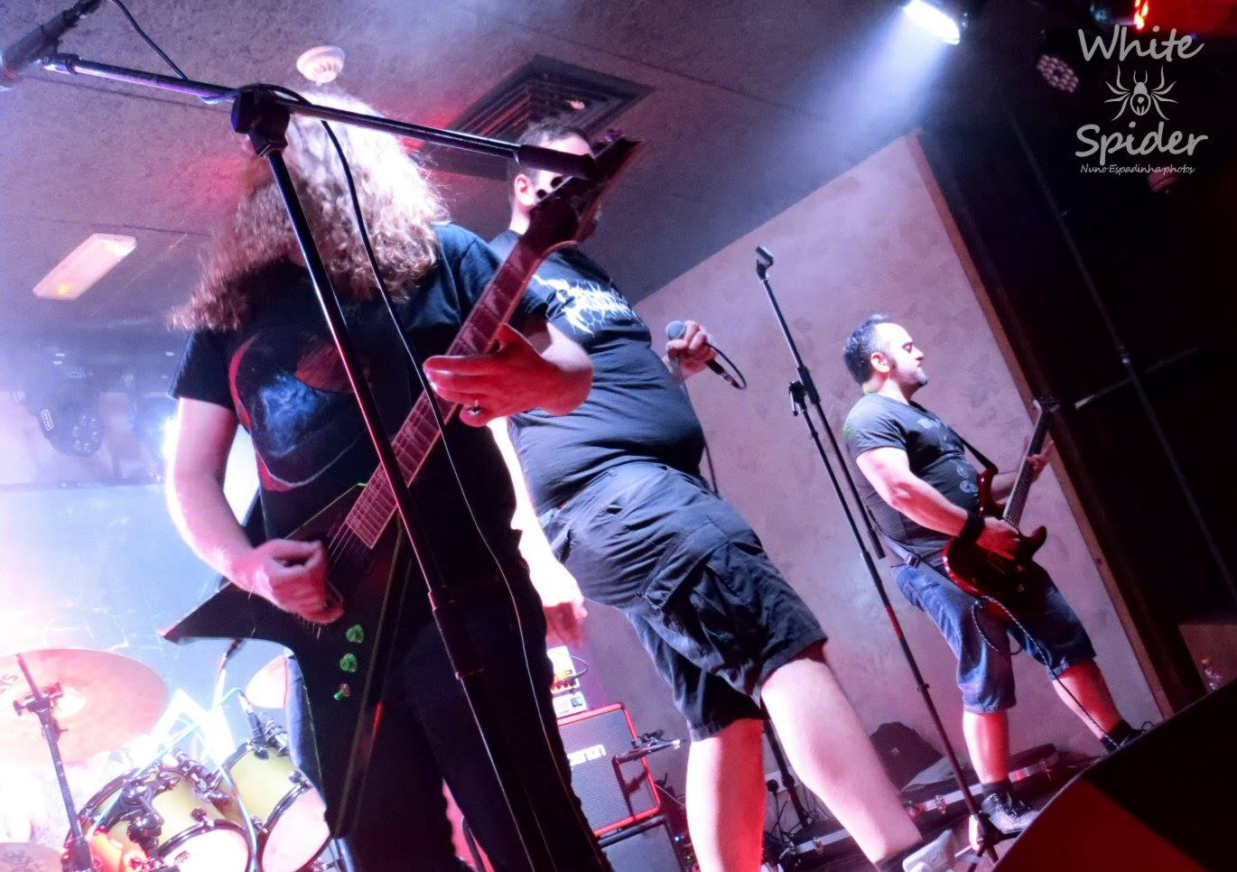 Phidion live 2019