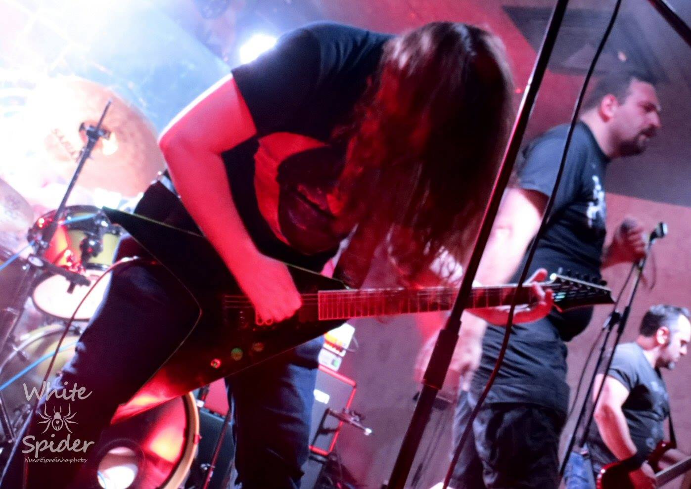 Phidion live 2019