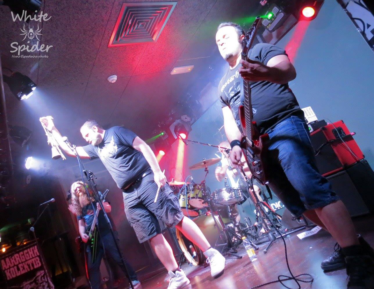 Phidion live 2019